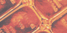 Precious Metal Residues